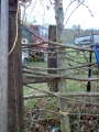 20110210 HEDGE COPPICING & LAYING LE BOSQUET 19
